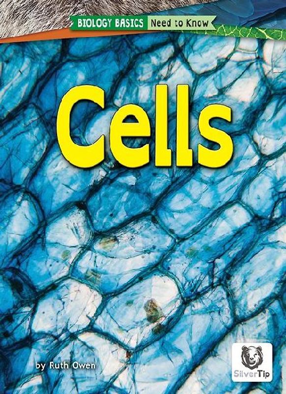 Cells