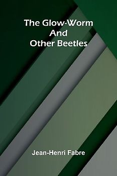 The Glow-Worm and Other Beetles