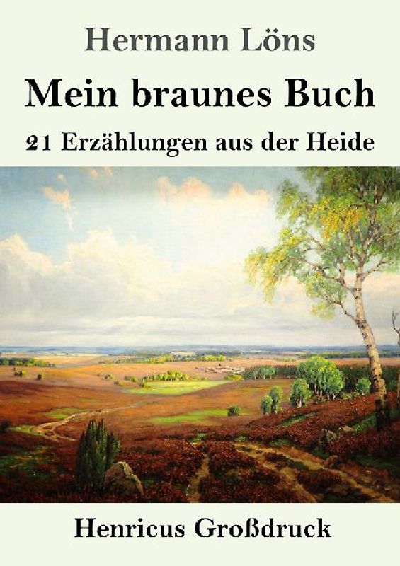 Mein braunes Buch (Großdruck)