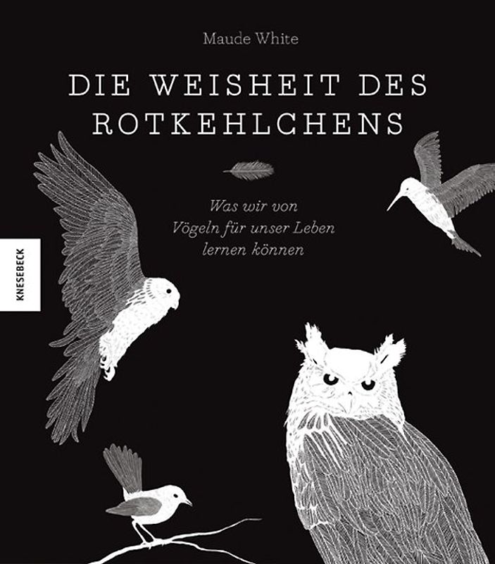 Die Weisheit des Rotkehlchens
