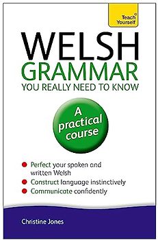 Welsh Grammar You Really Need to Know: Teach Yourself