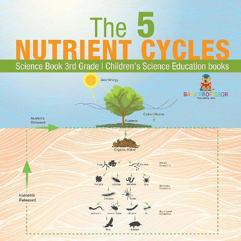 The 5 Nutrient Cycles - Science Book 3rd Grade | Children's Science Education books