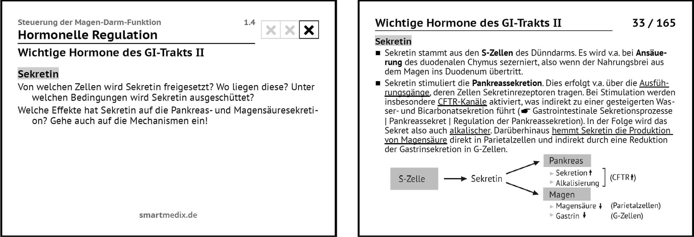 SmartMedix Lernkarten Physiologie Box 2: Verdauung, Energie-, Wärme-, Wasser- und Elektrolythaushalt, Niere und Hormone