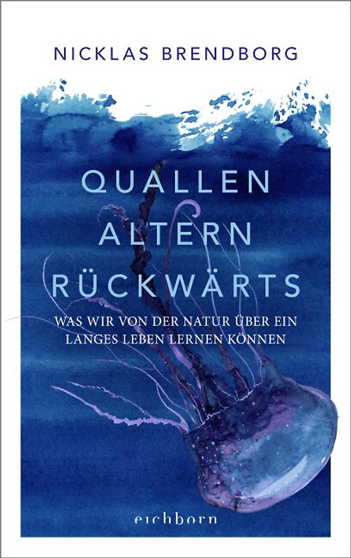 Quallen altern rückwärts