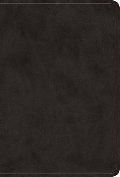 ESV Value Large Print Compact Bible (Trutone, Black)