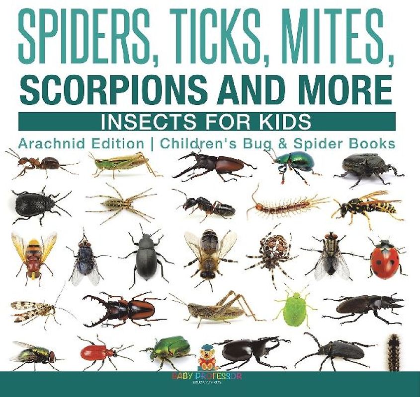 Spiders, Ticks, Mites, Scorpions and More | Insects for Kids - Arachnid Edition | Children's Bug & Spider Books