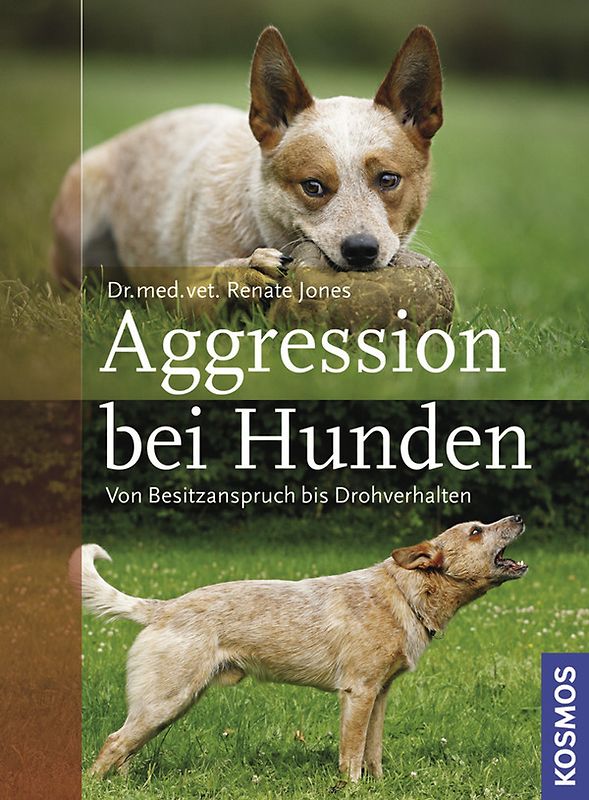 Aggression bei Hunden