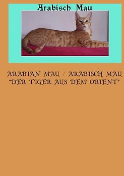 Arabian Mau / Arabisch Mau "Der Tiger aus dem Orient"