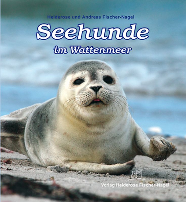 Seehunde im Wattenmeer