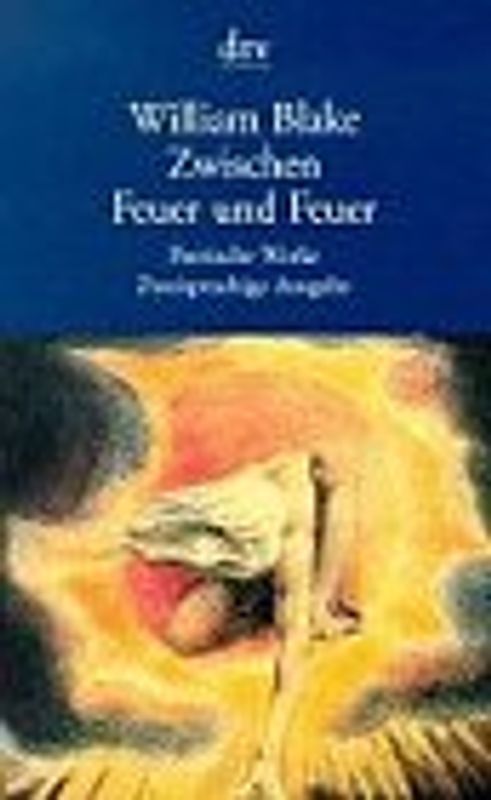 Zwischen Feuer und Feuer. Poetische Werke. Zweisprachige Ausgabe