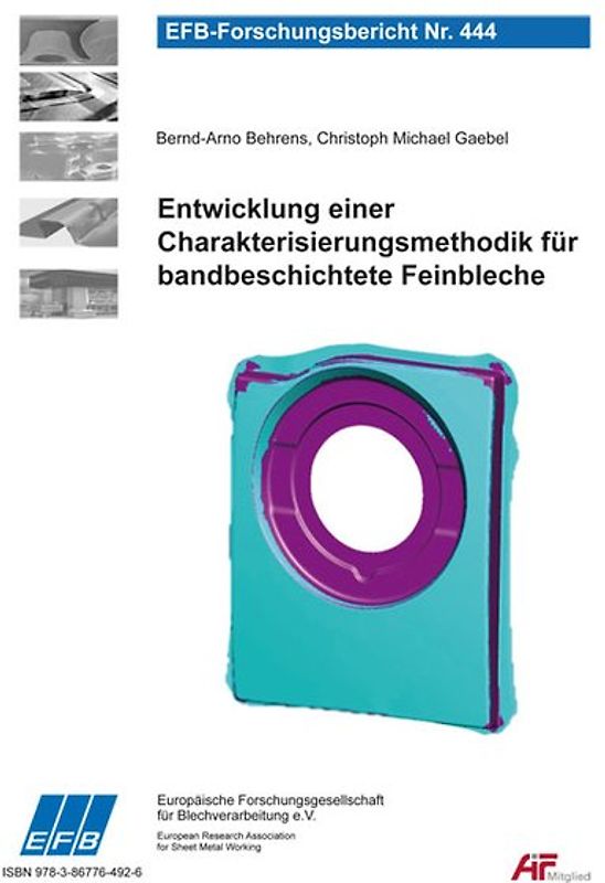 Entwicklung einer Charakterisierungsmethodik für bandbeschichtete Feinbleche