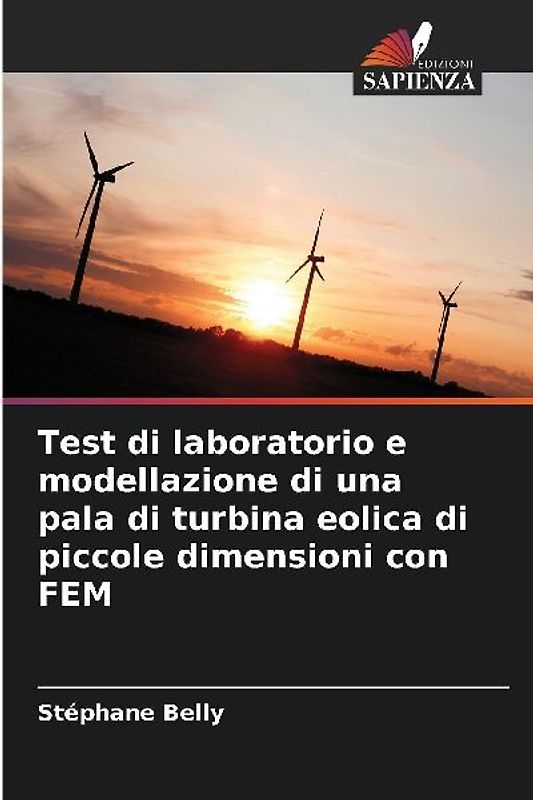 Test di laboratorio e modellazione di una pala di turbina eolica di piccole dimensioni con FEM