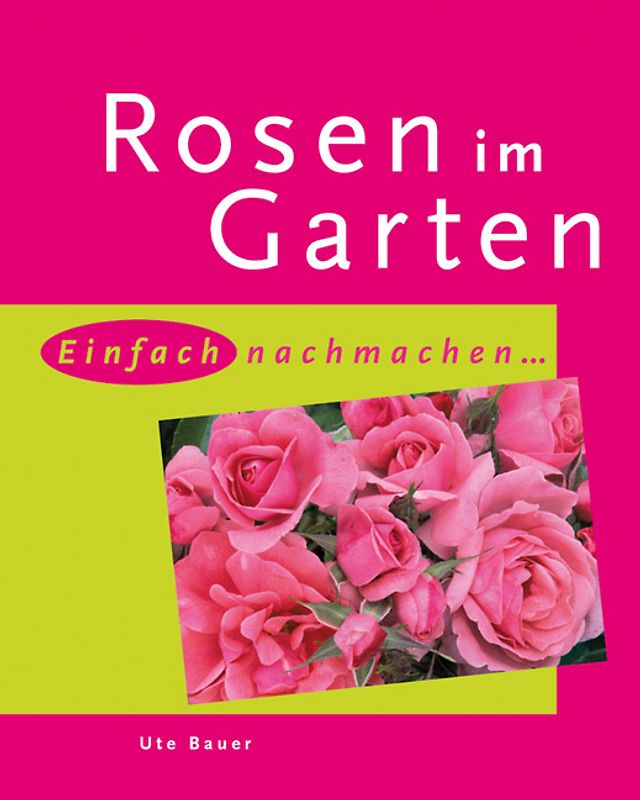 Rosen im Garten