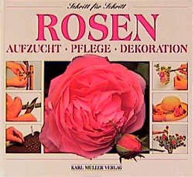 Rosen. Aufzucht - Pflege - Dekoration