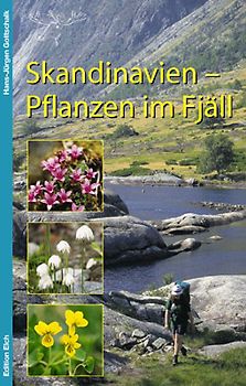 Skandinavien - Pflanzen im Fjäll