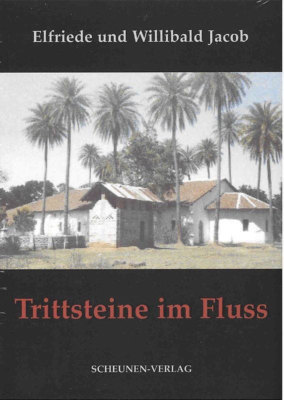 Trittsteine im Fluss