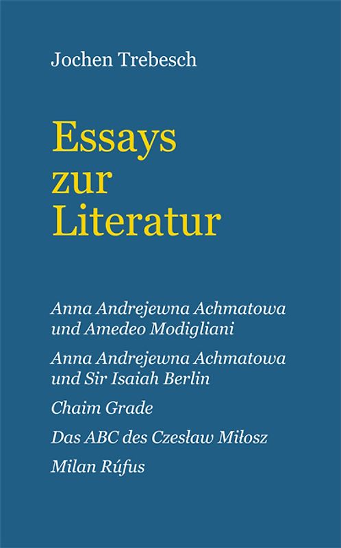 Essays zur Literatur