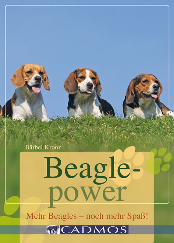 Beaglepower