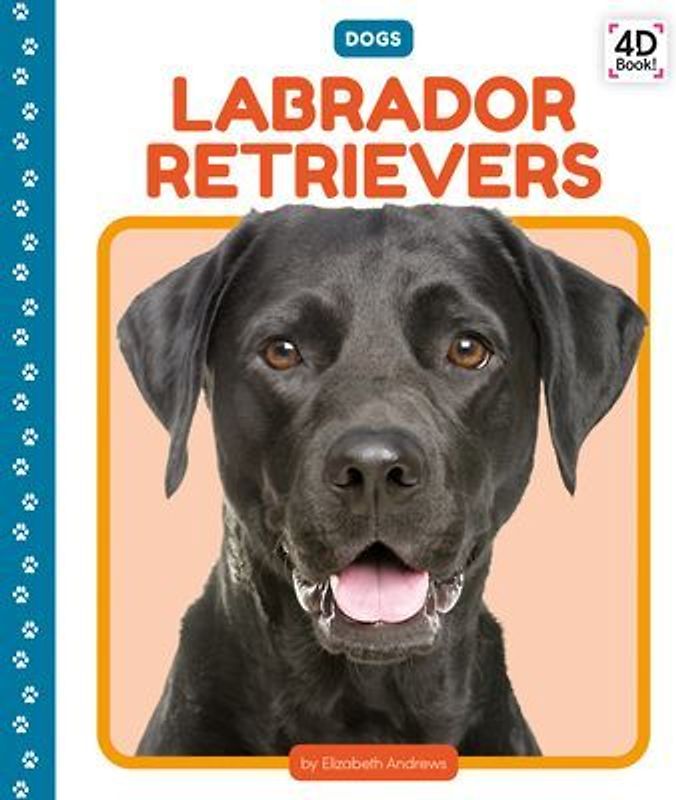 Labrador Retrievers