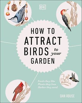 How to Attract Birds to Your Garden