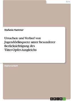 Ursachen und Verlauf von Jugenddelinquenz unter besonderer Berücksichtigung des Täter-Opfer-Ausgleichs