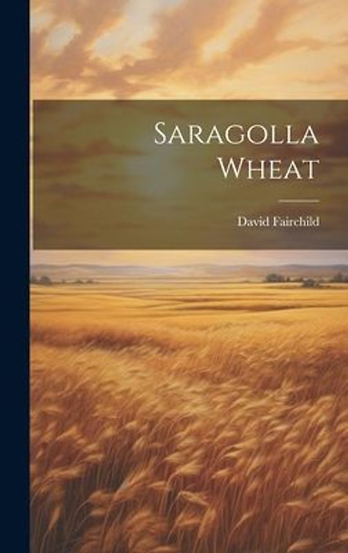 Saragolla Wheat