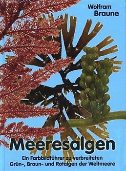 Meeresalgen