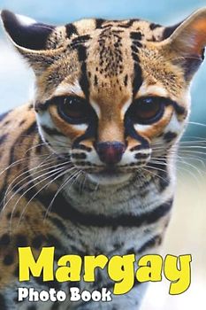 Margay Photo Book: Small Wild Cat Colorful Pictures For All Ages To Have Fun And Relax | Gift Idea For Animal Lovers