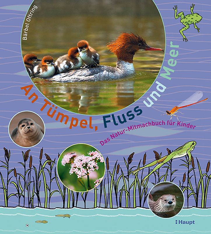 An Tümpel, Fluss und Meer