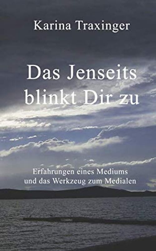 Das Jenseits blinkt Dir zu: Erfahrungen eines Mediums und das Werkzeug zum Medialen