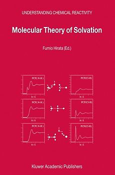 Molecular Theory of Solvation