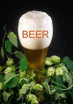 Beer / UK-Version (Poster Book DIN A4 Portrait)