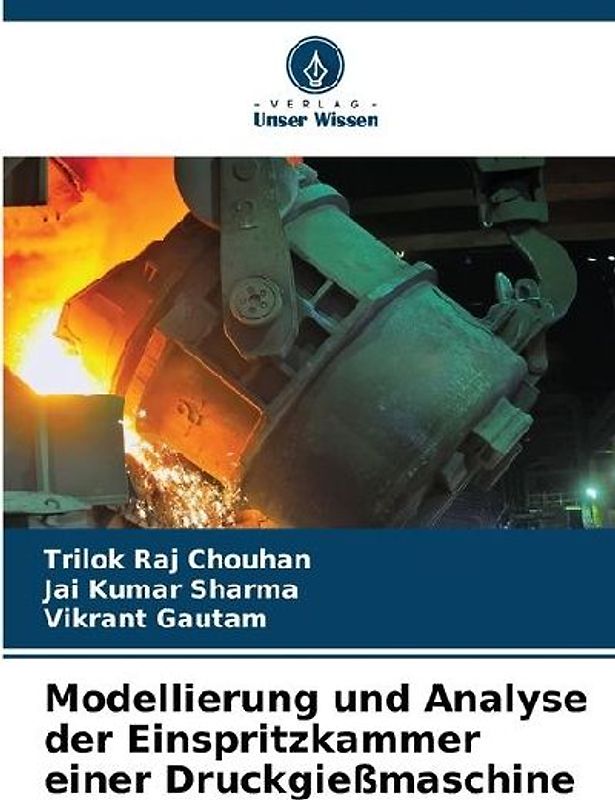 Modellierung und Analyse der Einspritzkammer einer Druckgießmaschine