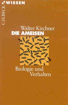 Die Ameisen