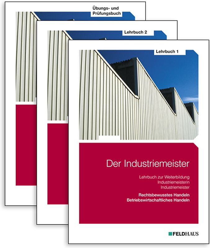 Der Industriemeister - Gesamtausgabe