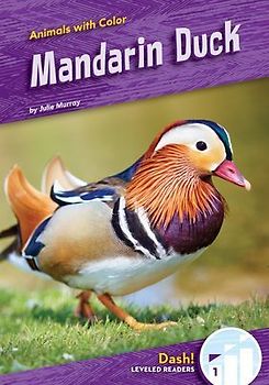Mandarin Duck