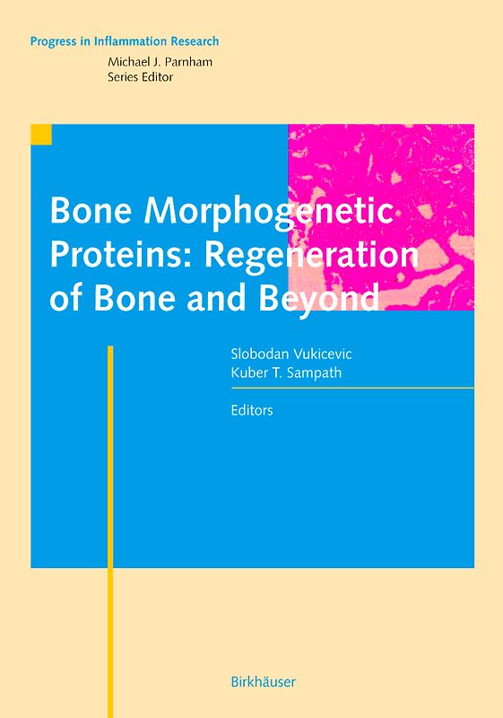 Bone Morphogenetic Proteins: Regeneration of Bone and Beyond