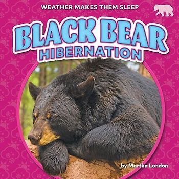 Black Bear Hibernation