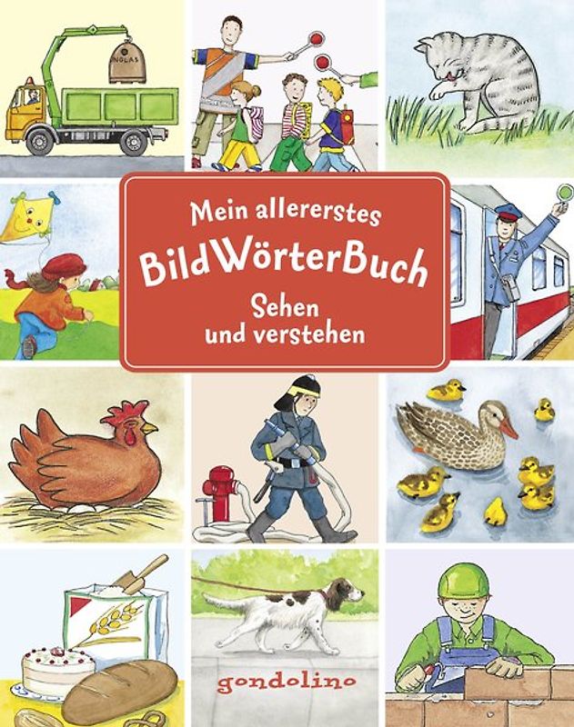Mein allererstes Bildwörterbuch mit über 250 Begriffen