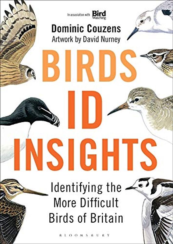 Birds: ID Insights