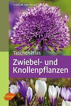 Zwiebel- und Knollenpflanzen