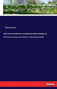 Report of the Commission to Investigate the Public Charitable and Reformatory Interests and Institutions of the Commonwealth