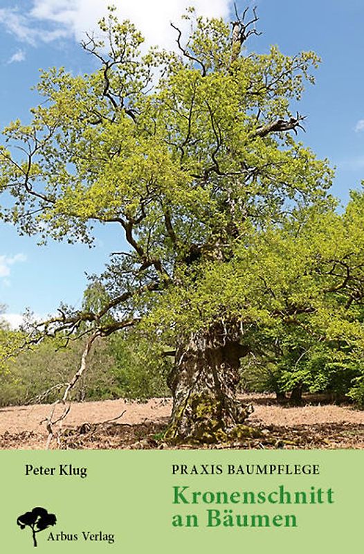 Praxis Baumpflege - Kronenschnitt an Bäumen