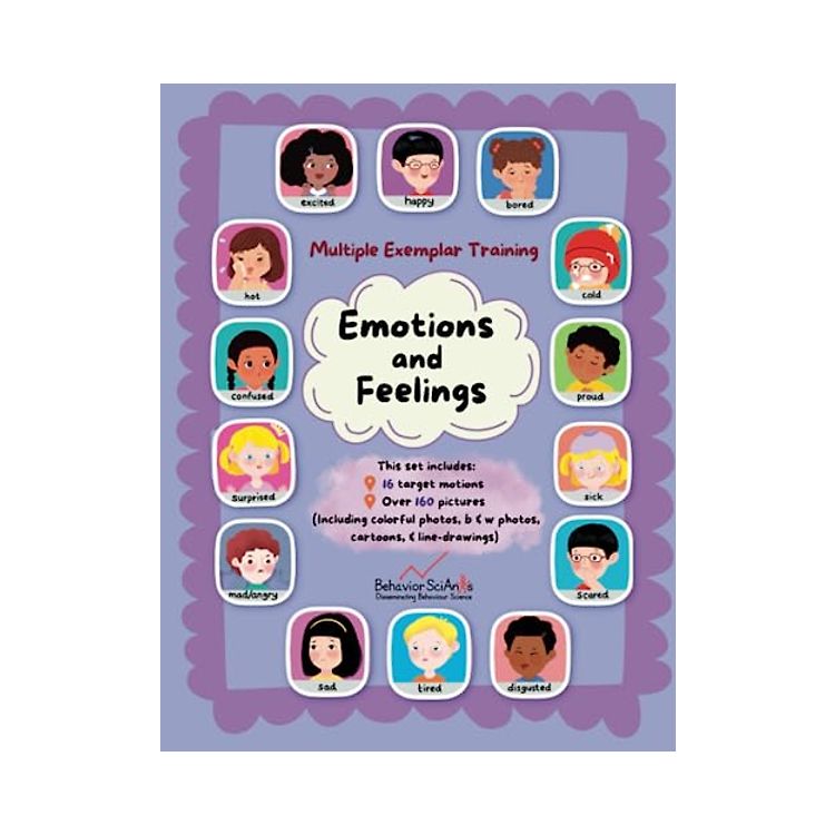 Multiple Exemplar Training - Emotions and Feelings: Vocabulary Builder ...