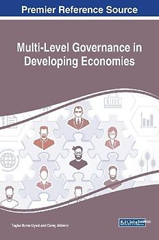 Multi-Level Governance in Developing Economies