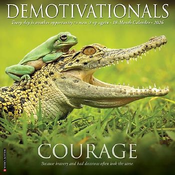 Demotivationals 2026 12 X 12 Wall Calendar