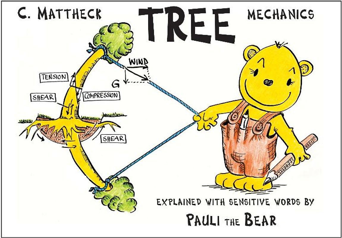 Tree mechanics
