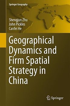 Geographical Dynamics and Firm Spatial Strategy in China