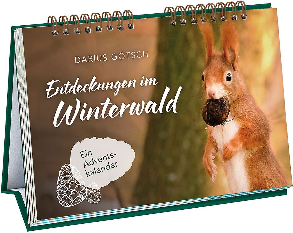 Entdeckungen im Winterwald