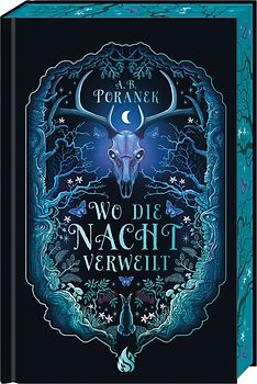 Wo die Nacht verweilt